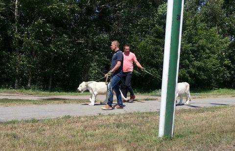 Фото: yk-news.kz