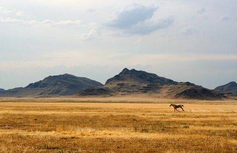 Фото с сайта anypics.ru