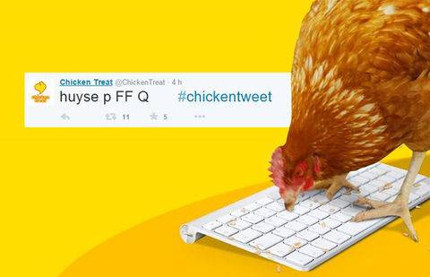 Фото @ChikenThreat / Twitter