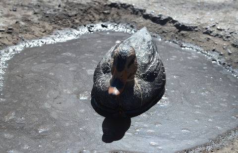 Фото Екатерины Ерофеевой