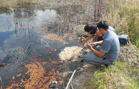 Фото ЦЭБ ВКО
