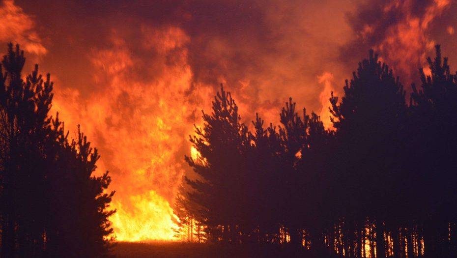 Фото с сайта Reuters