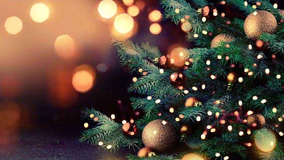 Фото с сайта shutterstock.com