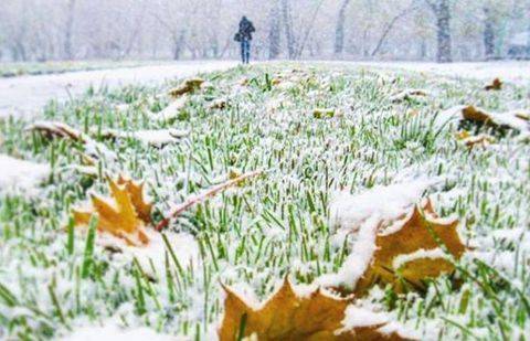 Фото @j_mi / Instagram