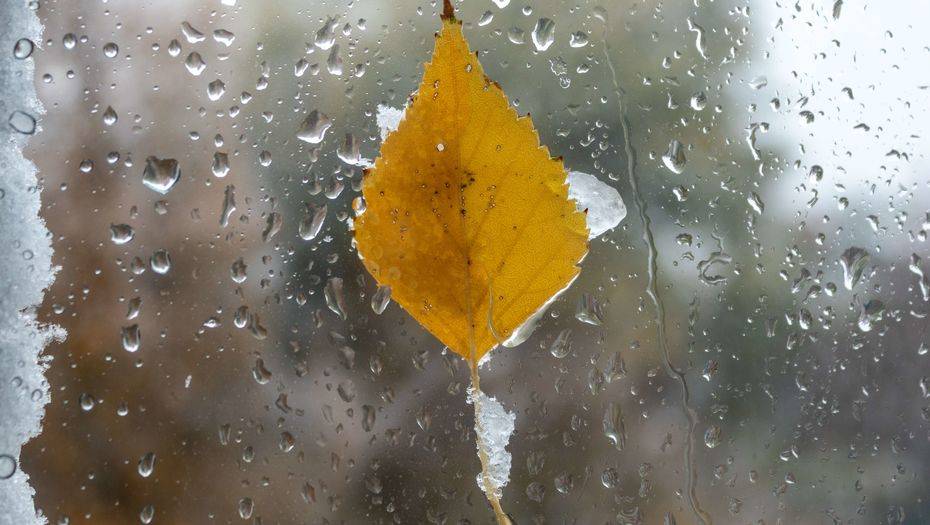 Фото с сайта shutterstock.com