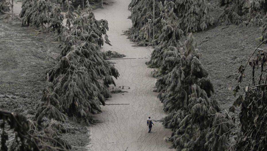 Фото с сайта Reuters