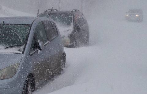 Фото с сайта catastropha.ru