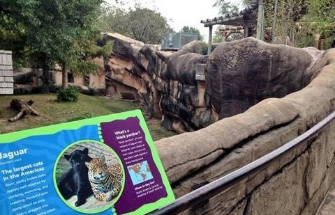 Фото сайта KTHV-TV, Little Rock, Ark