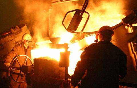 Фото с сайта tplants.com