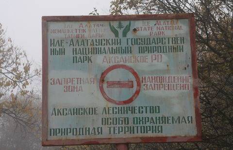 Комитет госдоходов предупредил Иле-Алатауский национальный парк за невыдачу чеков