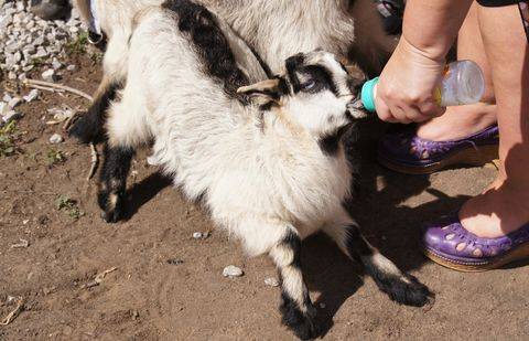 Фото Миланы Степановой