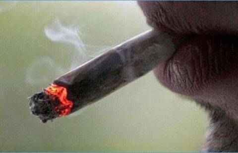 Фото с сайта assabah.com.tn