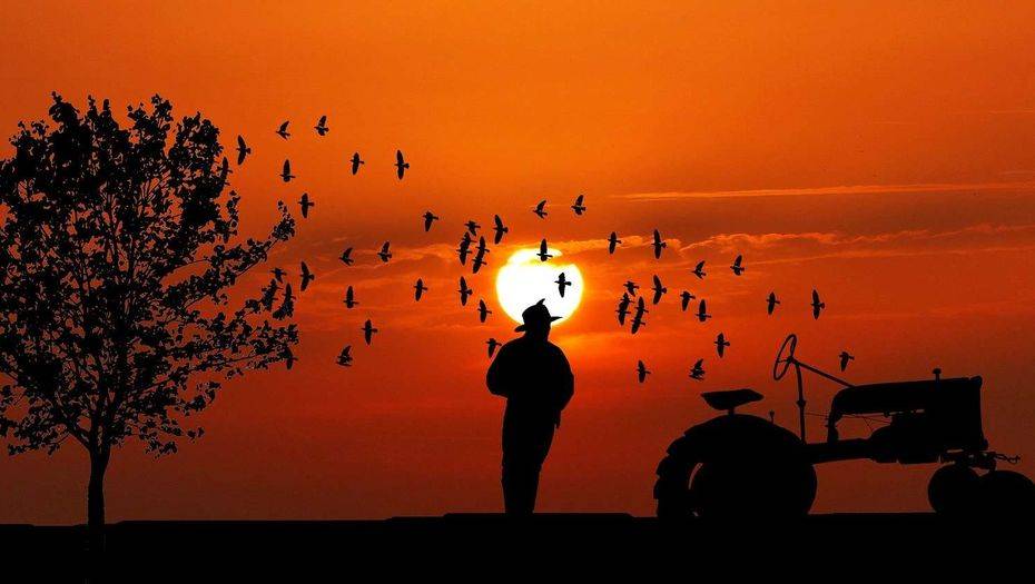 Фото с сайта pixabay.com