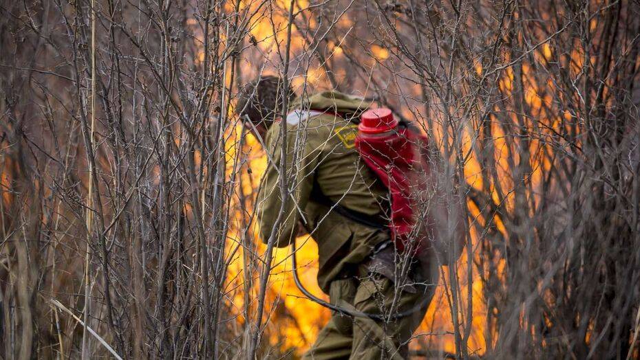 Фото Григория Беденко