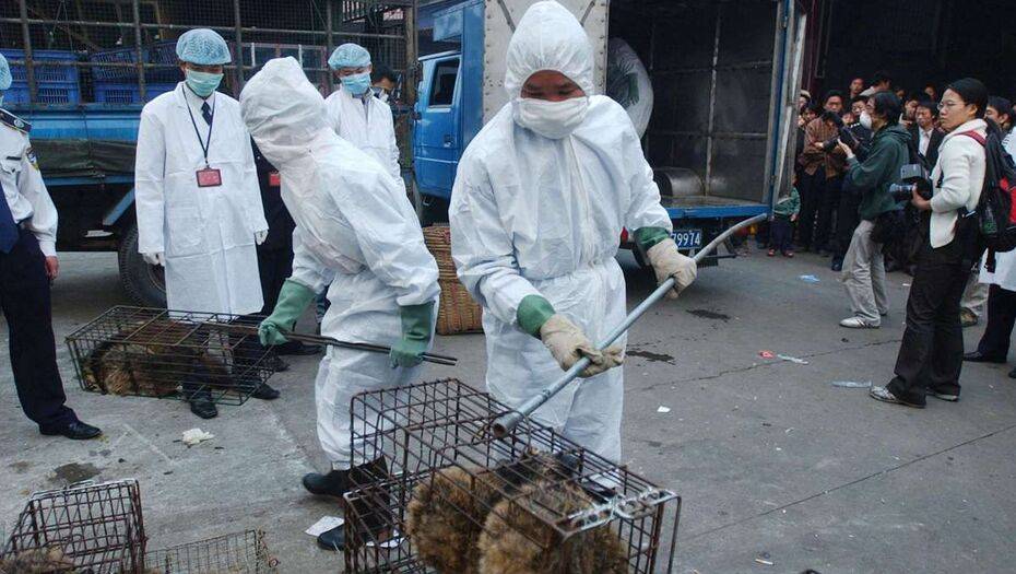 Фото Global look press