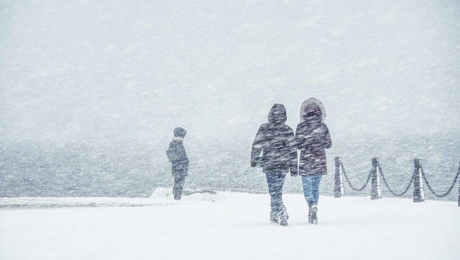 Фото с сайта shutterstock.com