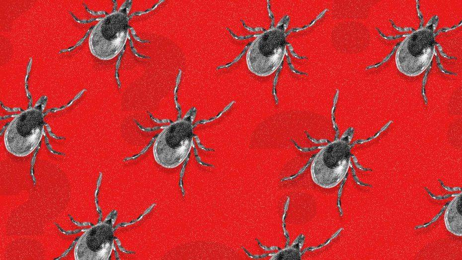 Фото depositphotos.com