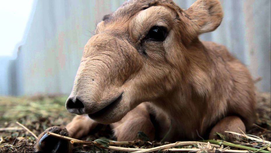 Фото с сайта imperiya.by