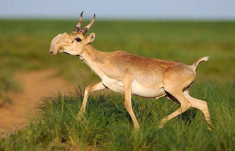 Фото с сайта facepla.net.