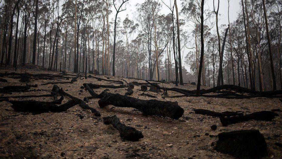 Фото с сайта Reuters