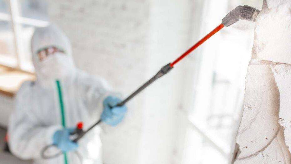 Сурет freepik.com сайтынан алынды