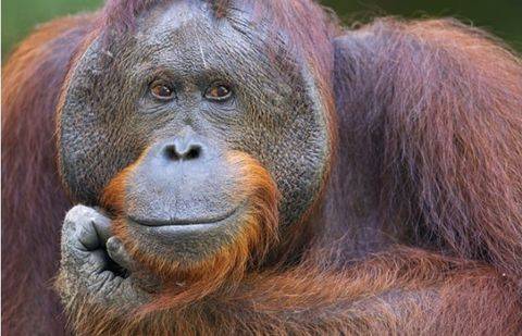 Фото с сайта europe-today.ru