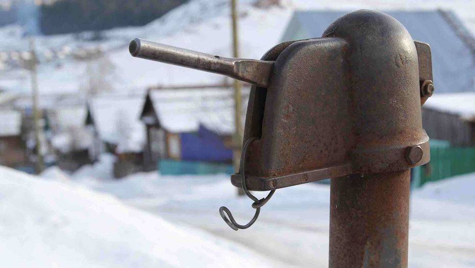 Фото avanpress.ru