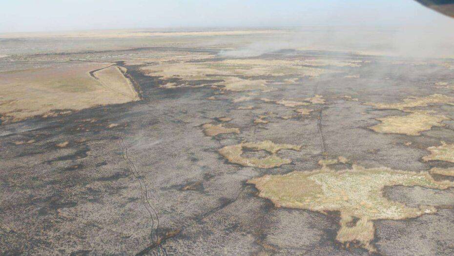 В Атырауской области ликвидировали горение камыша: площадь составила 284 га