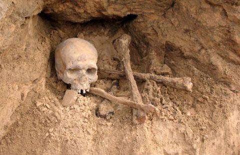 Фото с сайта telefakt.ru