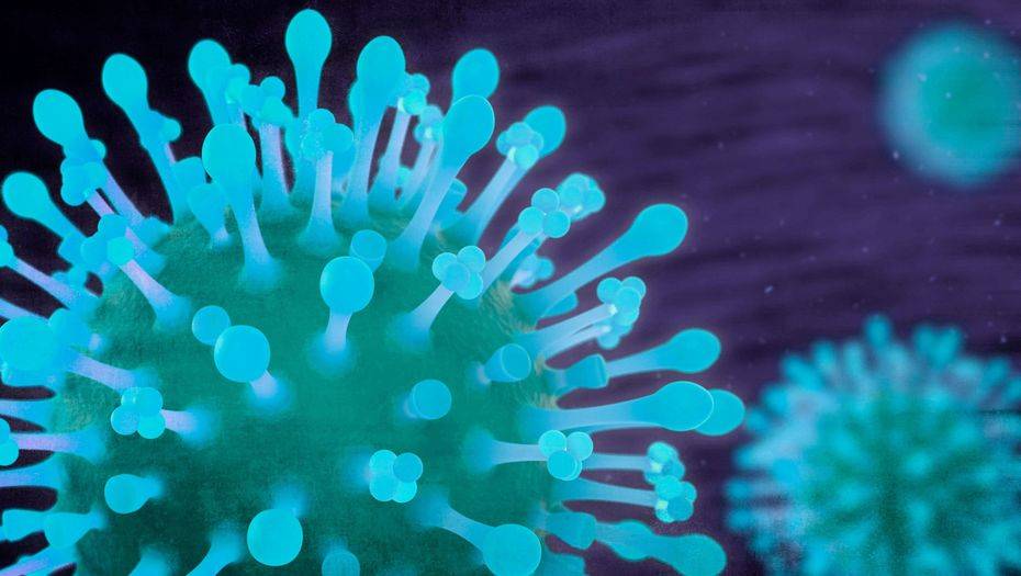 Фото с сайта thescottishsun.co.uk