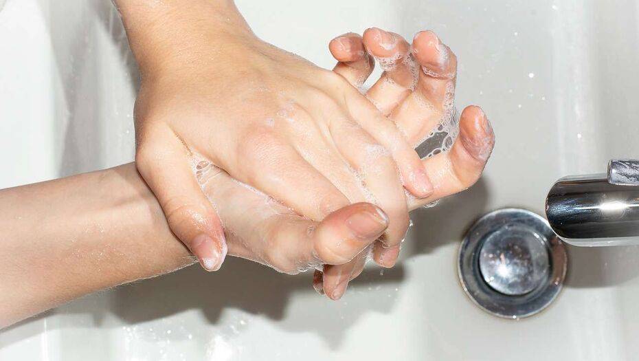 Иллюстративное фото с сайта pixabay.com