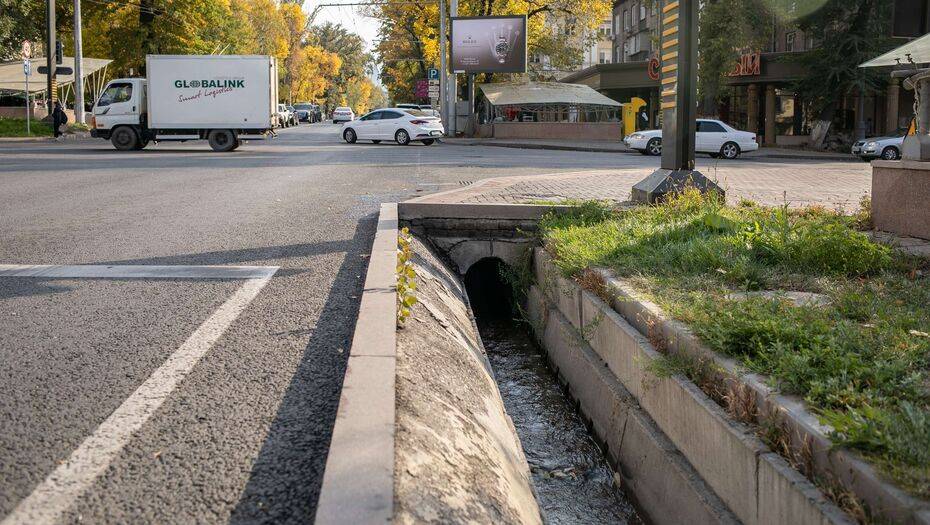 Фото Алмаза Толеке