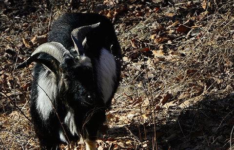 Фото с сайта dni.ru