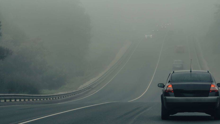 Фото с сайта shutterstock.com