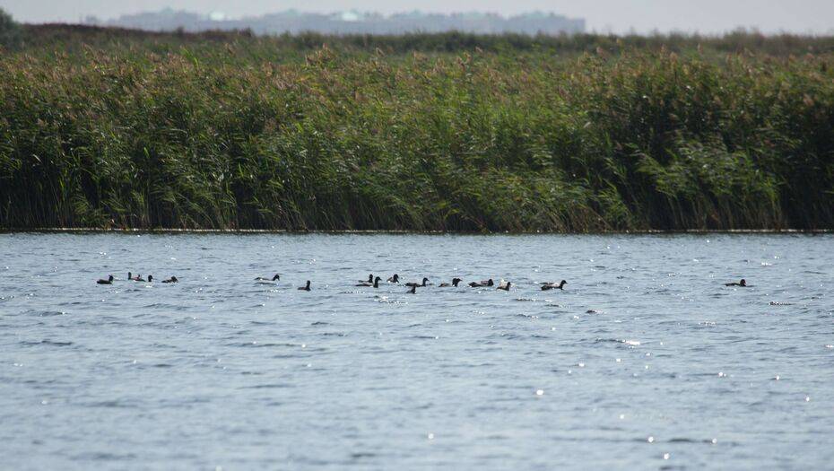 Фото Informburo.kz