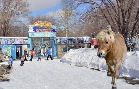 Иллюстрация informburo.kz