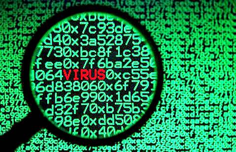 Фото с сайта vkirove.ru