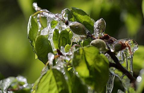 Фото Олега Спивака