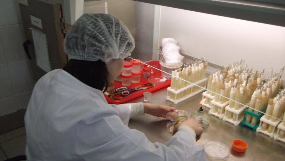 Фото с сайта d.120-bal.ru