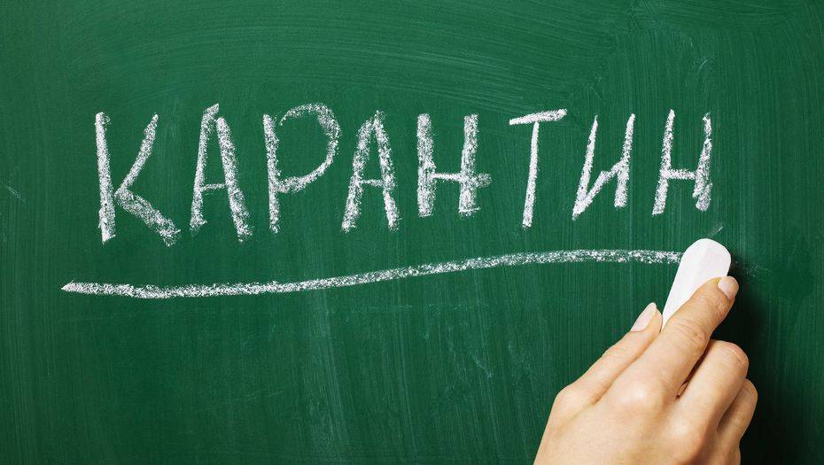 Школу Петропавловска закрыли на карантин из-за гриппа