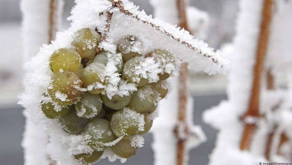 Фото с сайта dw.com