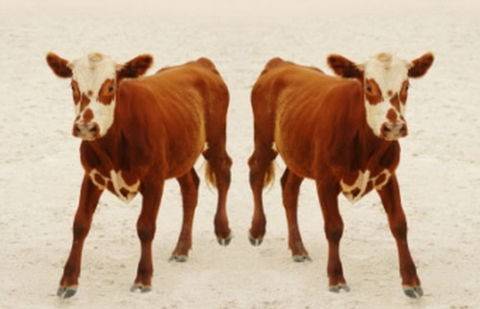 Фото medportal.ru.