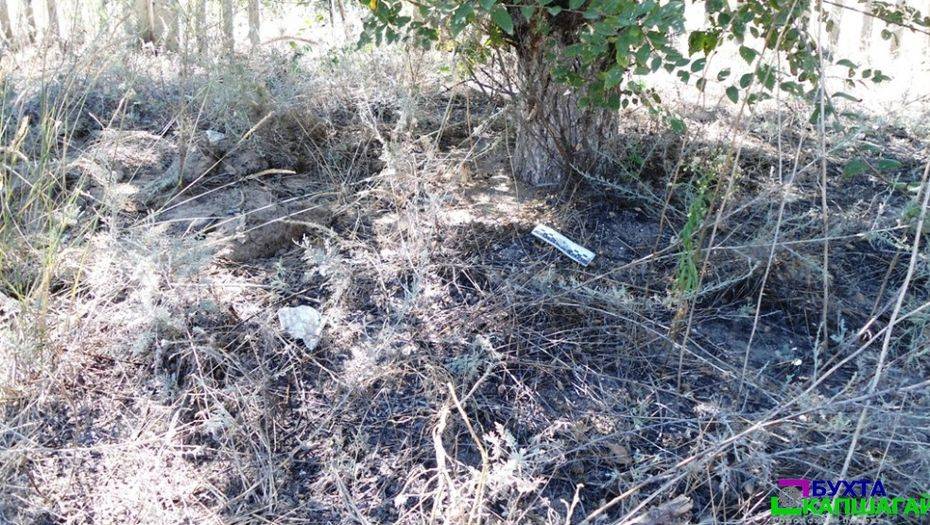 Фото из открытых источников