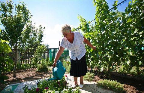 Фото с сайта mycdn.me