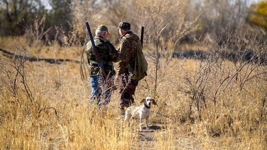 Фото Григория Беденко