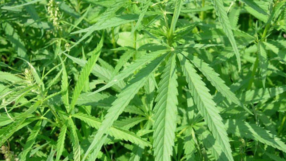 Фото euroradio.fm