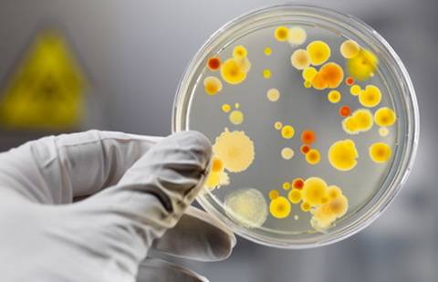 Фото с сайта old.rk