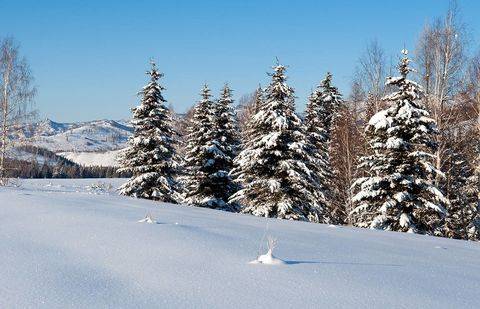 Фото Алексея Мазницина