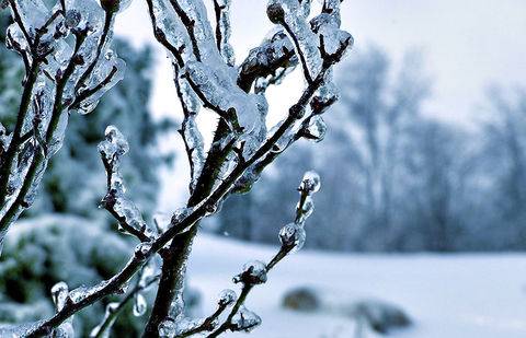 Фото с сайта wallpapermania.eu