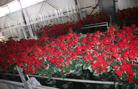 Фото с сайта skyscrapercity.com